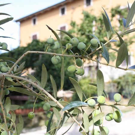 B&B Al Frantoio Chiusi Exteriér fotografie