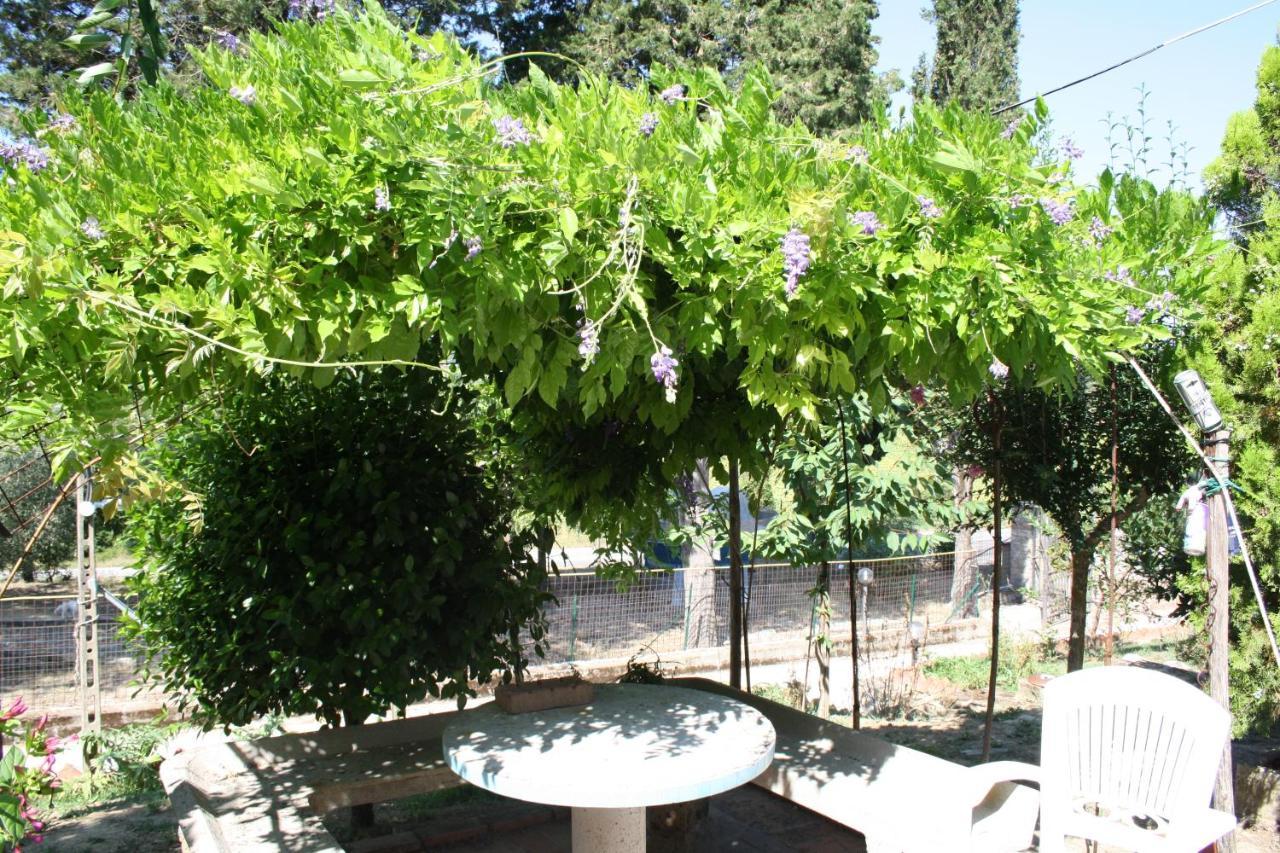 B&B Al Frantoio Chiusi Exteriér fotografie